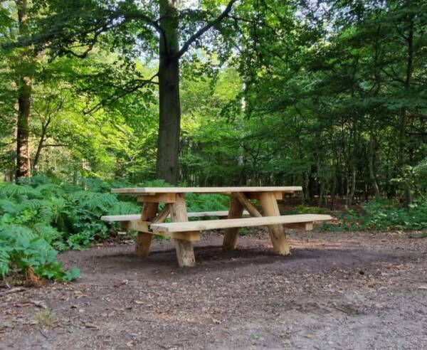 Picknicktafel missouri 200 plaatsen in bos