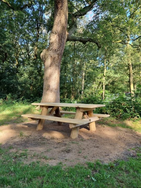 Picknicktafel missouri eikenhout plaatsen